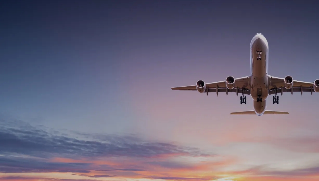 Aviation-focused IT products: A range of technology solutions tailored specifically for the aviation industry.